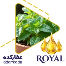 روغن نعناء - دست ساز gallery0